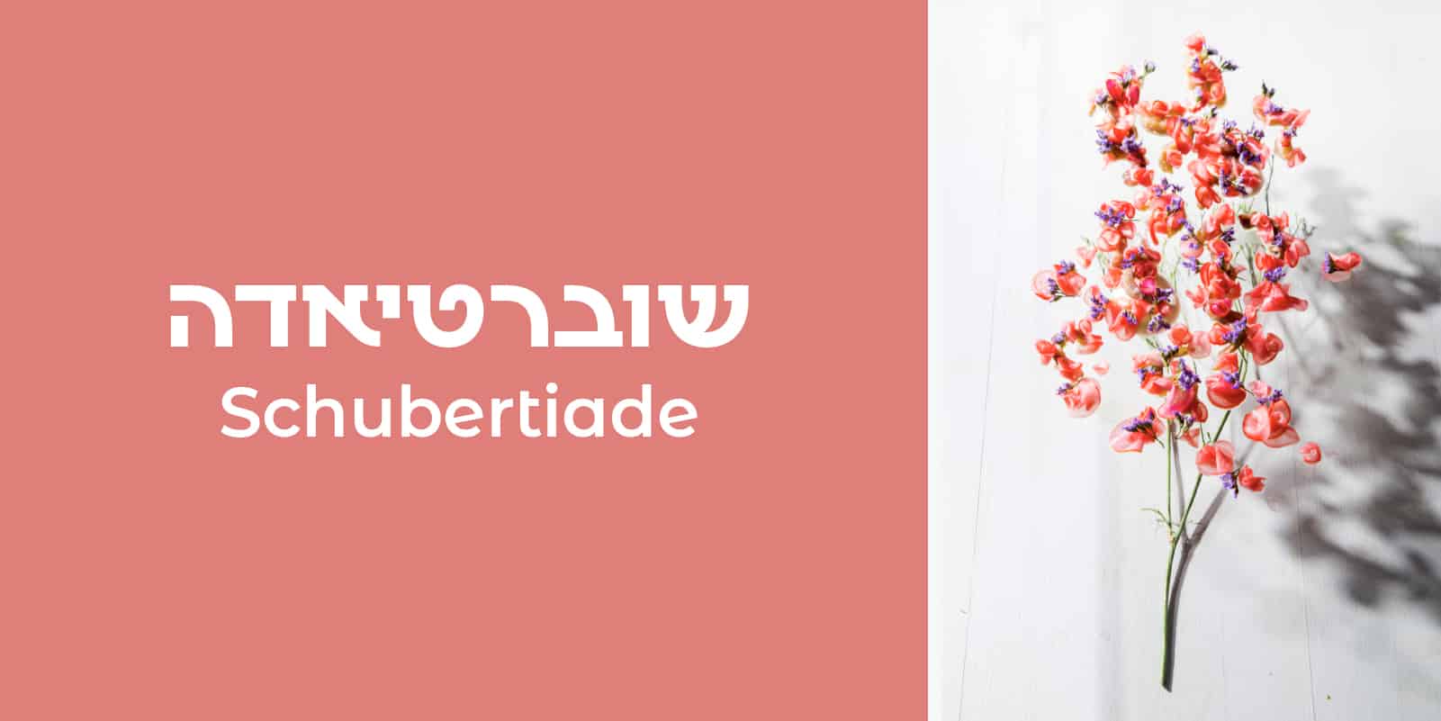 קאבר קונצרט שוברטיאדה